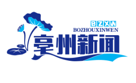 剪纸艺人起诉镇政府Logo侵权，法院判赔8万元创非遗维权先例